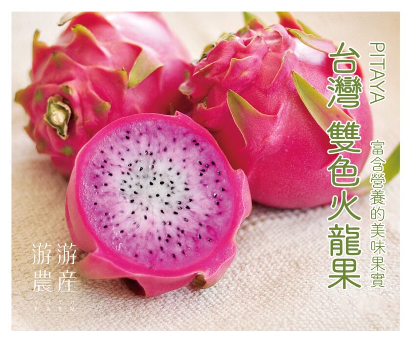 當季鮮果| 南投雙色火龍果：圖片 2
